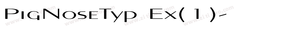 PigNoseTyp Ex(1)字体转换